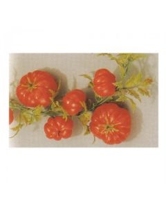 Tomato Display Garland