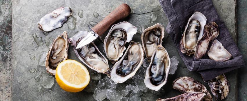 How to choose the best oyster knife to suit you
