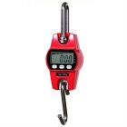 300kg / 600lb Capacity Hanging Scale in Red